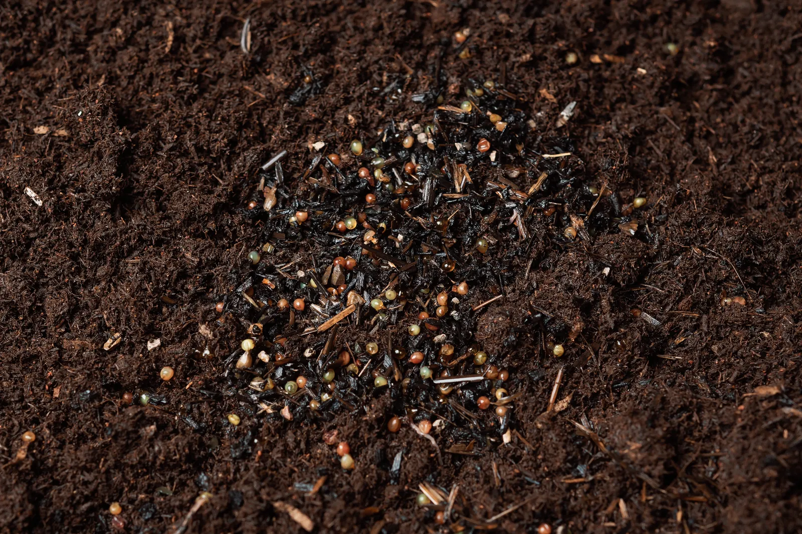 Close detail of finished worm castings, the raw material WormGro is brewed from