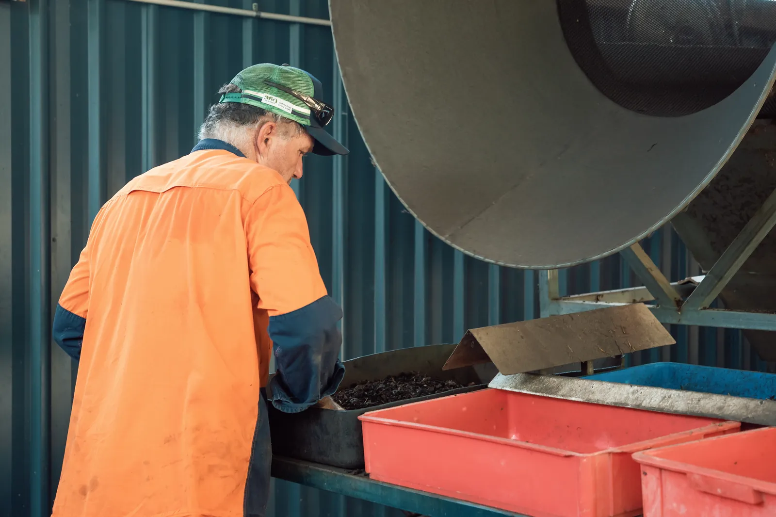 Castings being screened at the hopper at Kookaburra Worm Farms